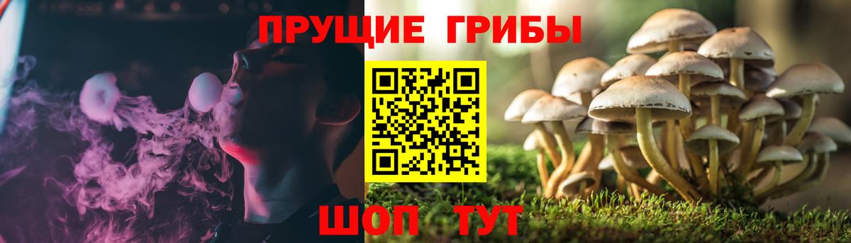 Псилоцибиновые грибы GOLDEN TEACHER Первоуральск